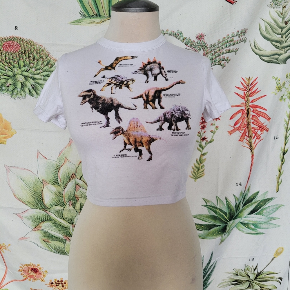 Dinosaur crop top